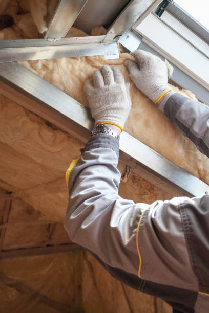 Best Soundproof Insulation Installation  in Sitka, AK