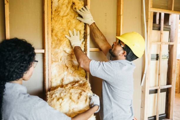 Best Spray Foam Insulation  in Sitka, AK