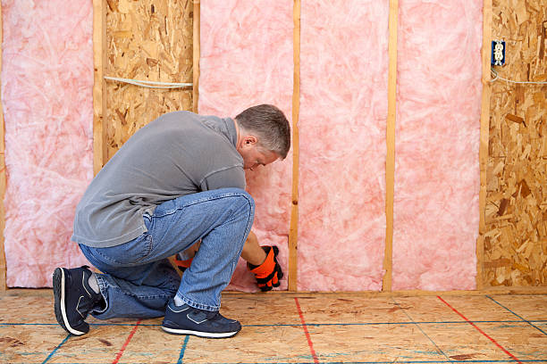 Soundproof Insulation Installation in Sitka, AK