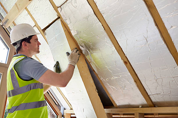 Best Insulation Replacement Services  in Sitka, AK